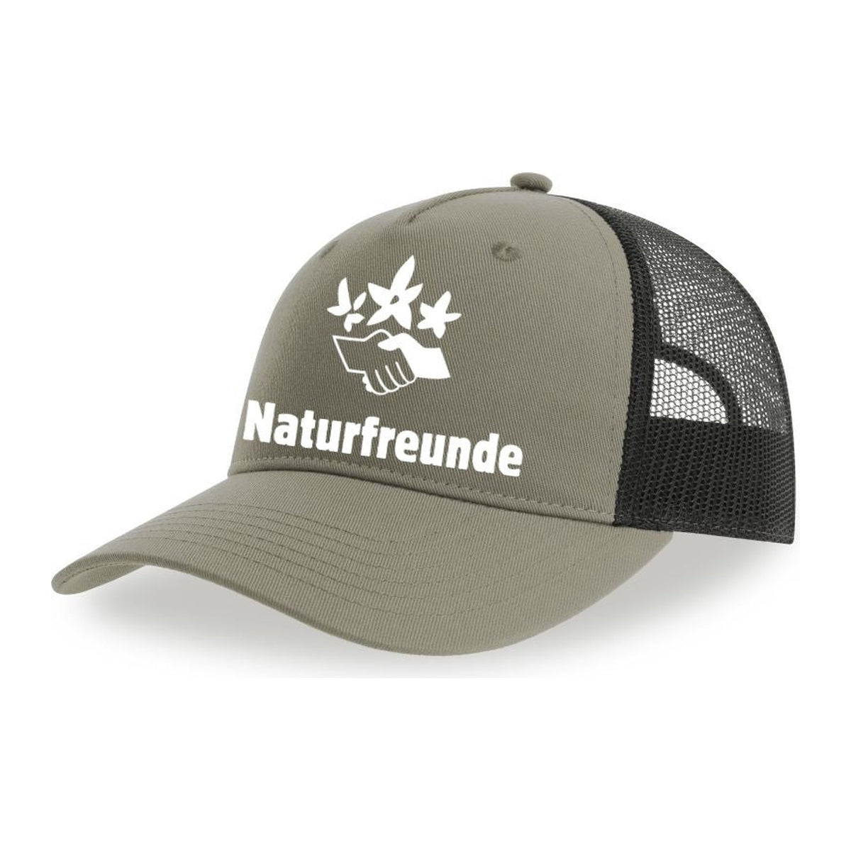 normalized